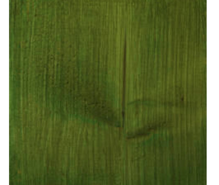 Χρωστική Πράσινο Ανοικτό (Kiwi) για 1,3κ Wood Premier - 50ml